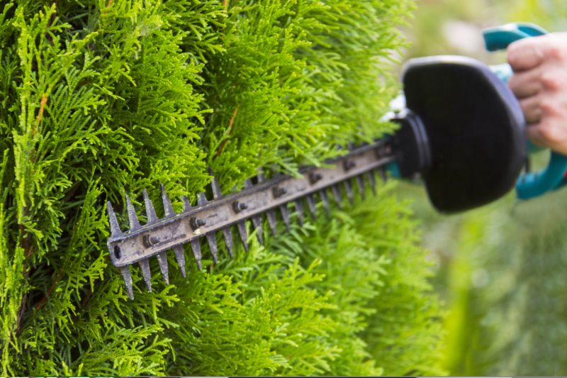 Close-up of Shrub Trimming Tools