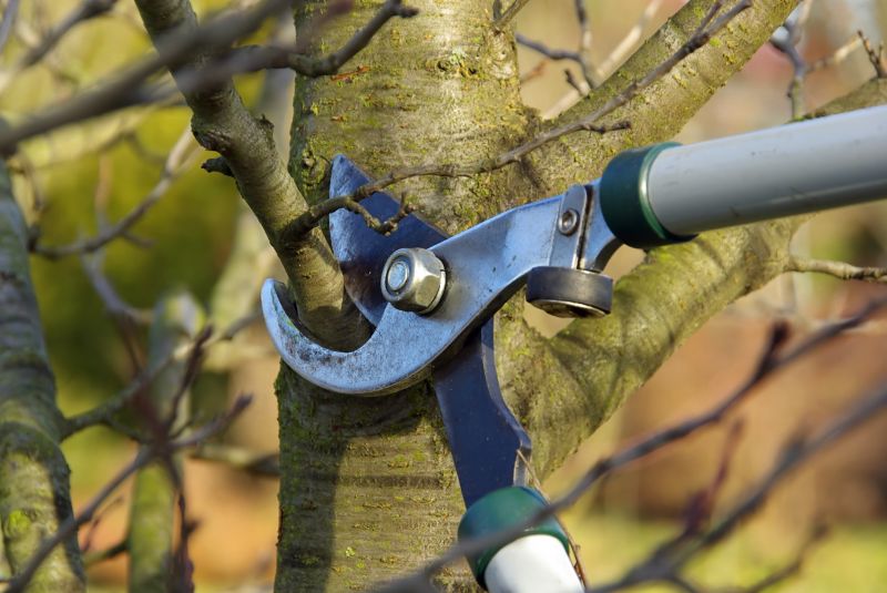 Pruning Tools in Use