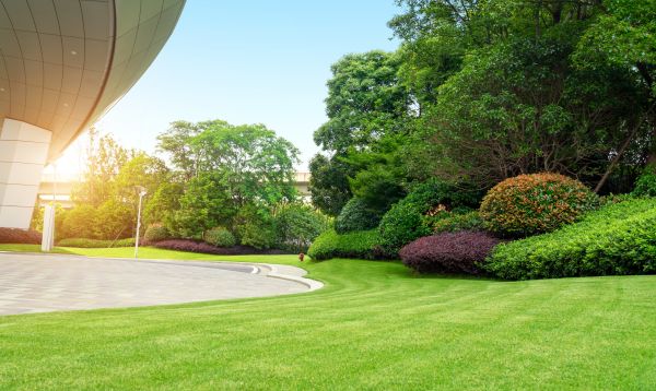 Commercial Shrub Trimming in Crestview