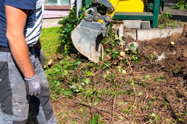 Hedge Removal Service in Crestview