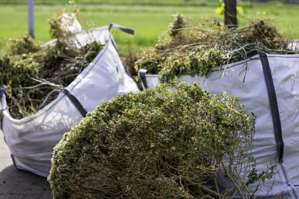Plant Removal Service in Crestview