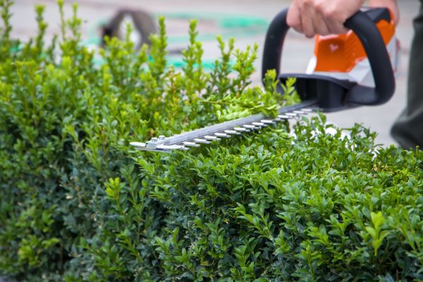 Hedge Shearing in Crestview