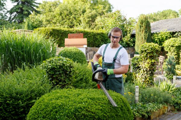 Shrubs Trimming in Crestview